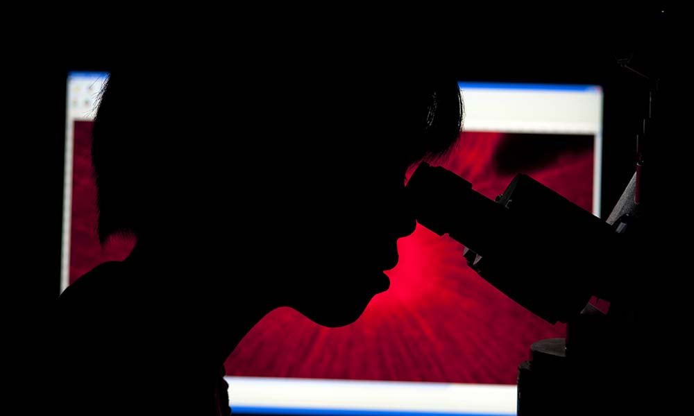 a silhouette of a student looking through a microscope