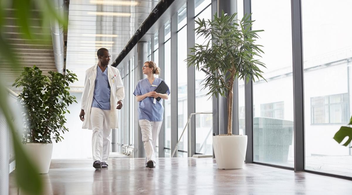 Two doctors walk down a hospital hallway lined with plants.