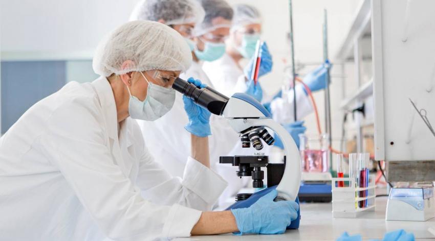 A scientist looking in on a microscope, while three other scientists are working on other things in the background